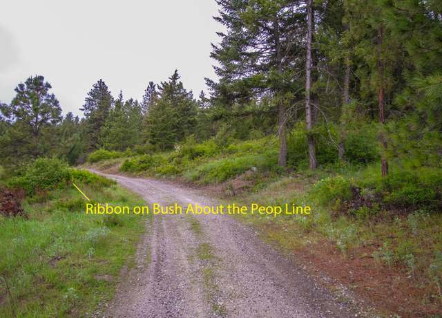 Property at 2420 Cedonia Addy Rd Unit A, Addy, WA 99101