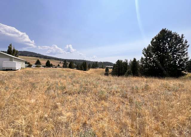 Property at TBD Sandpiper Way, Republic, WA 99166