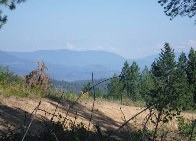 Property at LOT 4 Moose Ridge Way, Loon Lake, WA 99148