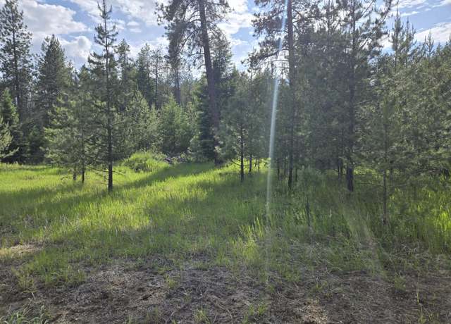 Property at 26XX Sand Canyon Lot 3 Rd, Chewelah, WA 99109