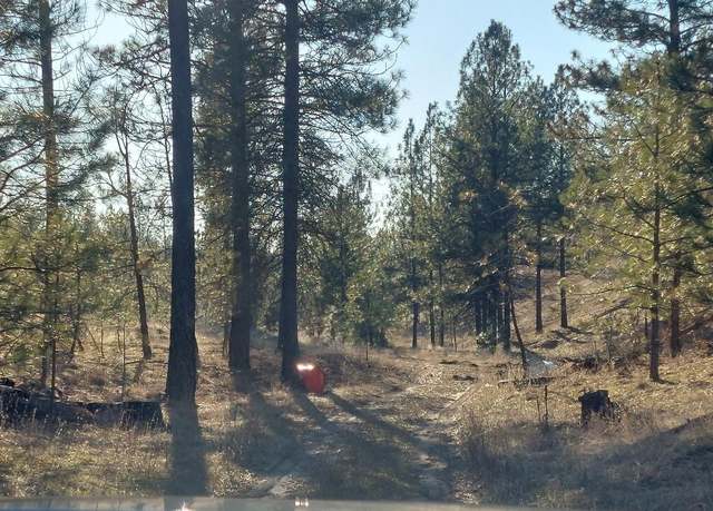 Property at 5699 C Hwy 231, Ford, WA 99013