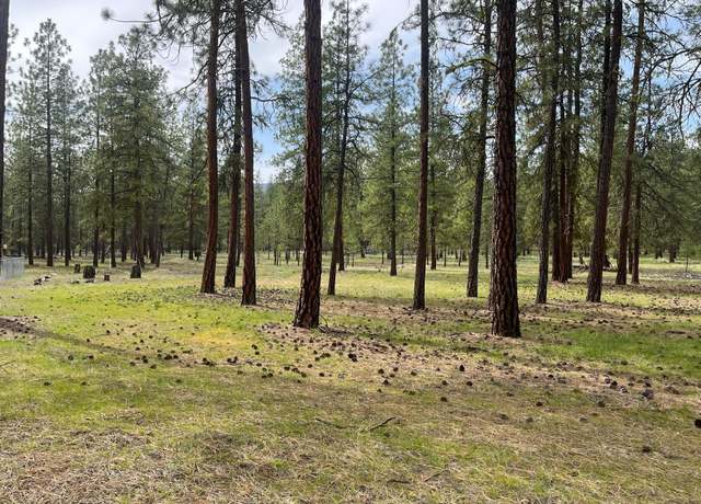 Property at TBD Lot 1 Denton Dr, Kettle Falls, WA 99141