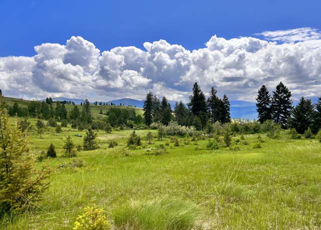 Property at TBD Big Goosmus Crk Rd, Curlew, WA 99118