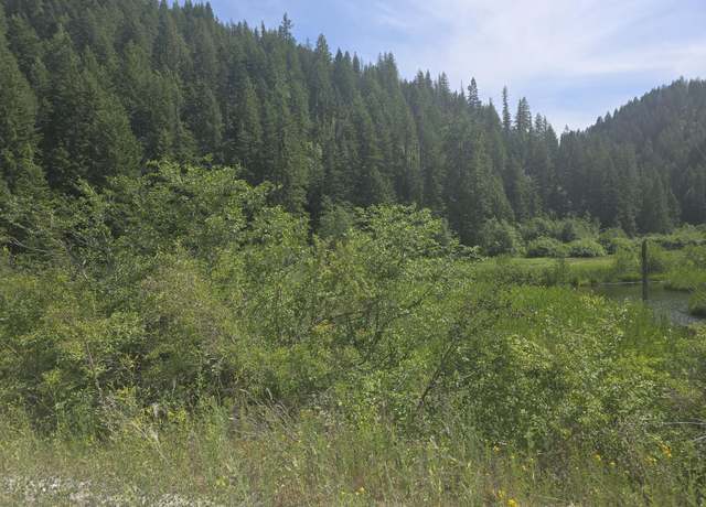 Property at 37XX Red Marble Rd, Valley, WA 99181