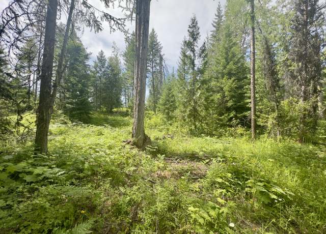 Property at XXXX Cedar Creek Rd, Colville, WA 99114