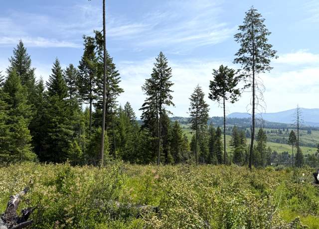 Property at TBD Rockabye Ln, Curlew, WA 99118