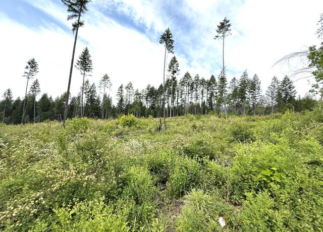 Property at TBD Rockabye Ln, Curlew, WA 99118