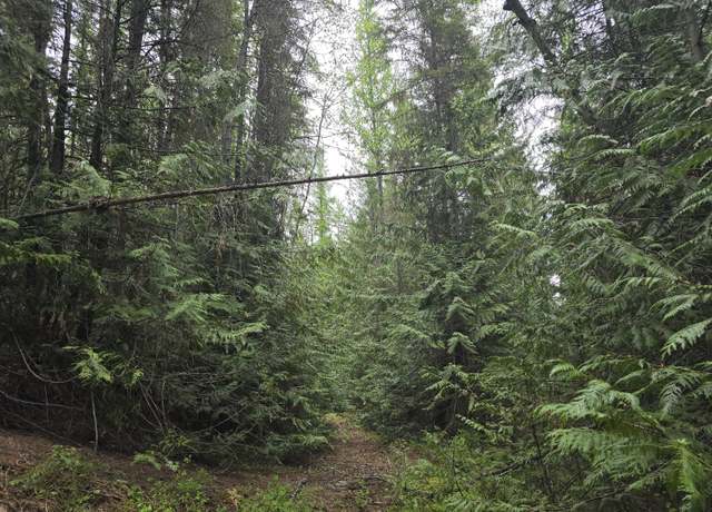 Property at 2XXX Deep Lake Boundary Rd, Colville, WA 99114
