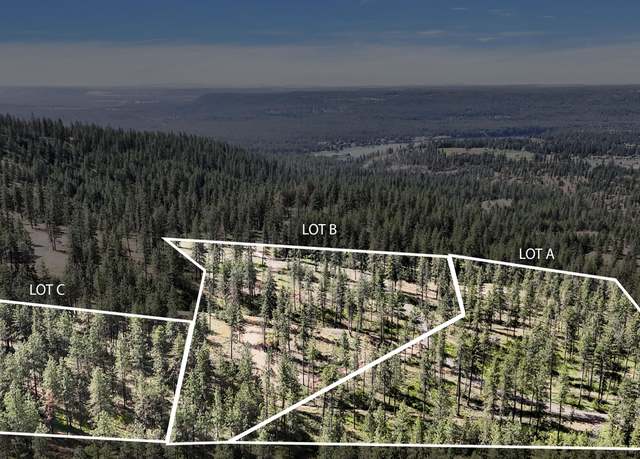 Property at NKA Lower Weaver Way Lot A, B, C, Deer Park, WA 99006