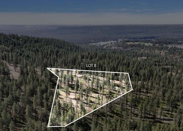 Property at NKA Lower Weaver Way Lot B, Deer Park, WA 99006