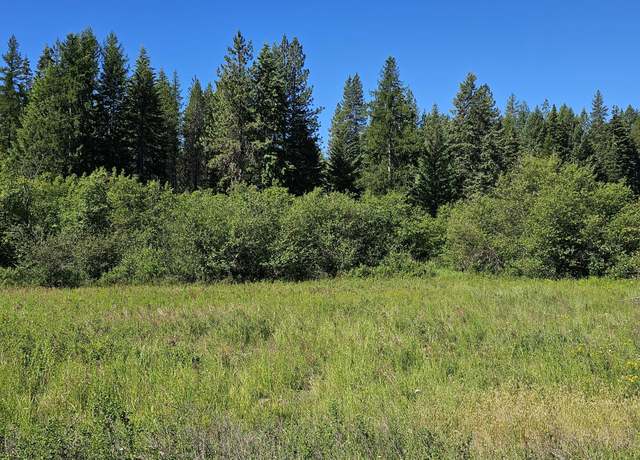 Property at 5XXX Olinger Rd, Springdale, WA 99173