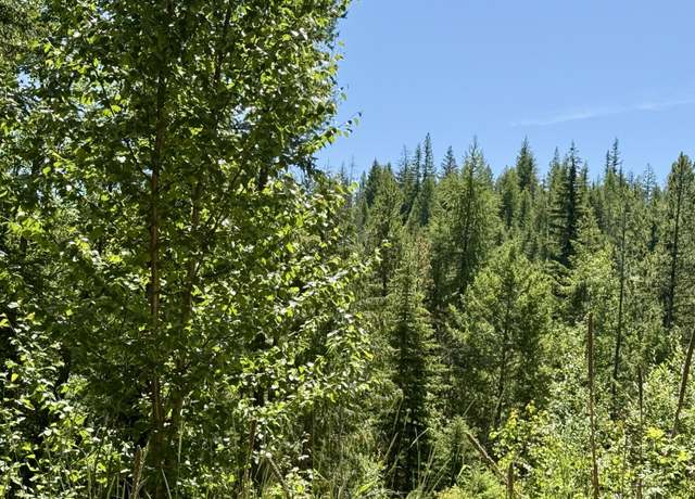 Property at TBD Perelandra Cir, Danville, WA 99121