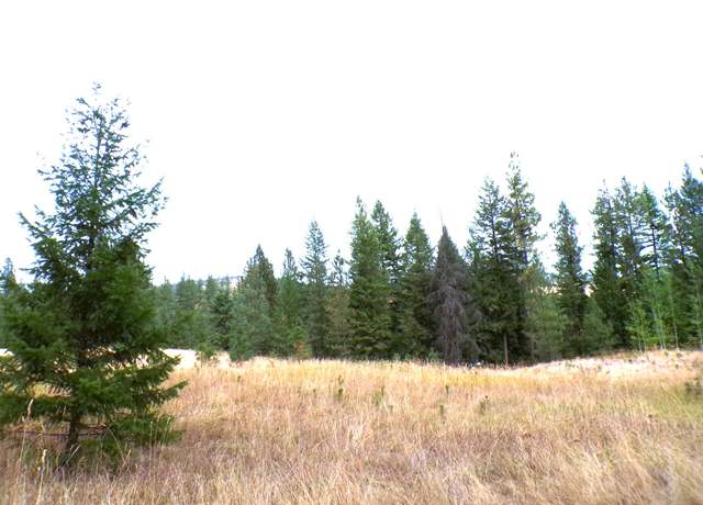 Property at Property in Inchelium, WA 99138