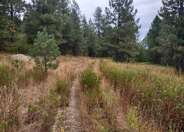 Property at 00 Little Sweden Rd, Valley, WA 99181