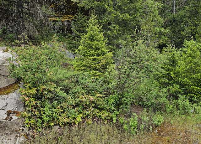 Property at 279X Deep Lake Boundary Rd, Northport, WA 99157