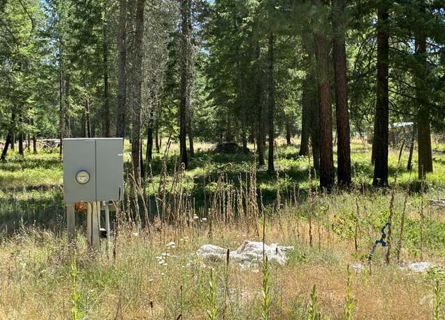 Property at 3741 N Deer Lake Rd, Loon Lake, WA 99148