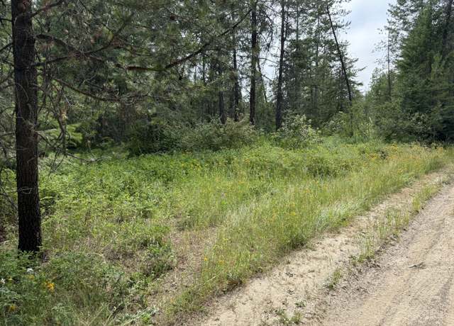 Property at LOT 1 Springdale-hunters Rd, Springdale, WA 99173