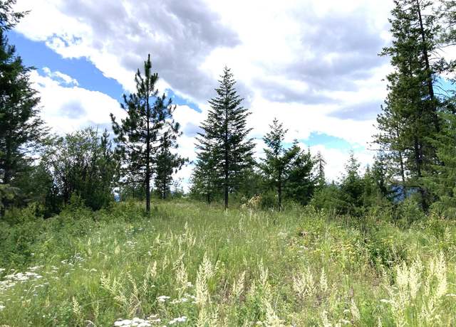 Property at #U Buffy Ln, Inchelium, WA 99138
