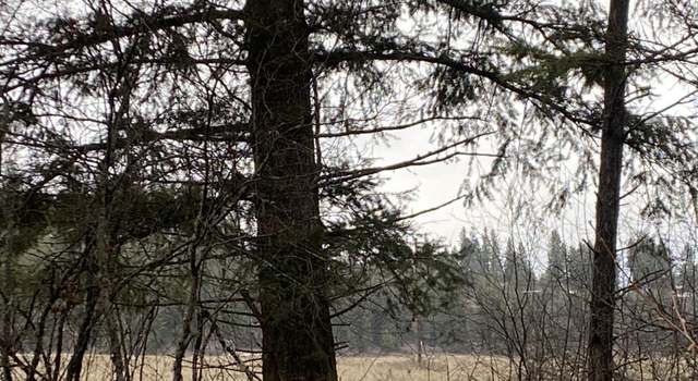 Photo of TBD Hwy 395 North, Kettle Falls, WA 99141