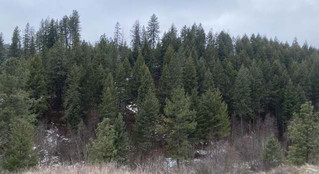 Photo of TBD Hwy 395 North, Kettle Falls, WA 99141