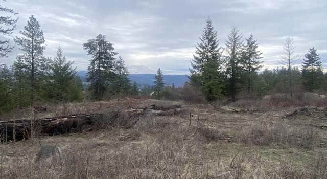 Photo of TRACT 2 Cowboys And Angels Ave, Kettle Falls, WA 99141