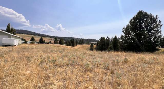 Photo of TBD Sandpiper Way, Republic, WA 99166