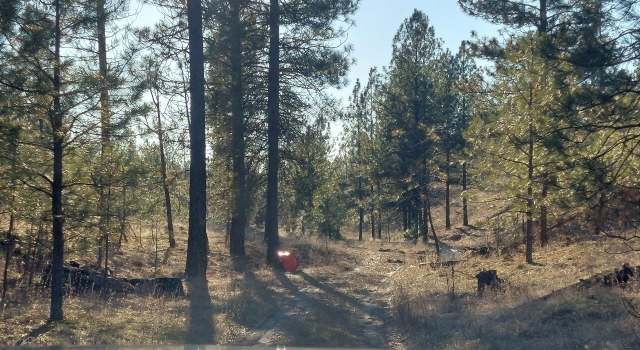 Photo of 5699 C Hwy 231, Ford, WA 99013