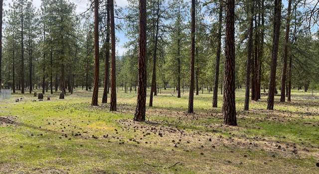 Photo of TBD Lot 1 Denton Dr, Kettle Falls, WA 99141