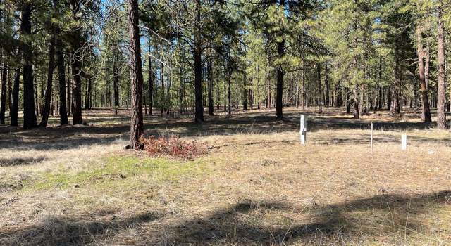 Photo of TBD Lot 1 Denton Dr, Kettle Falls, WA 99141