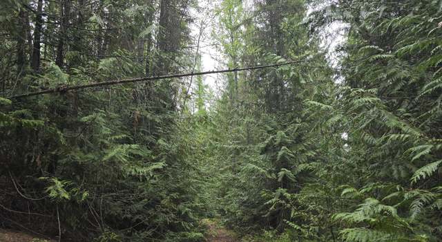 Photo of 2XXX Deep Lake Boundary Rd, Colville, WA 99114