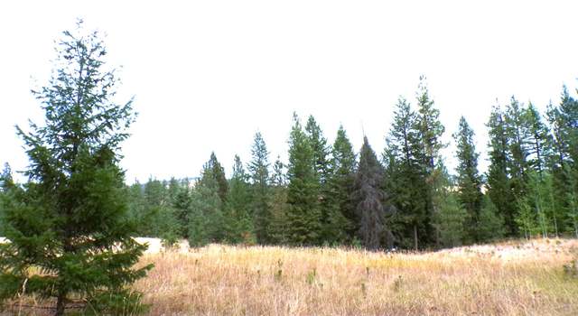 Photo of Property in Inchelium, WA 99138
