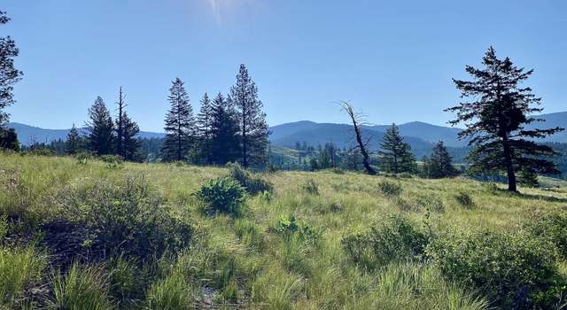 Photo of 0001 Dignity Ranch Rd, Republic, WA 99166