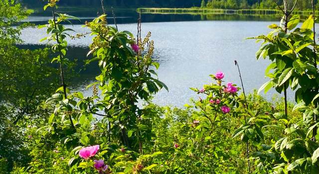 Photo of 248 Apex Rd, Inchelium, WA 99138
