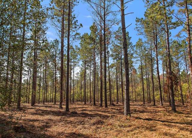Property at 28 ac CR 1219-lot 5, Rusk, TX 75785