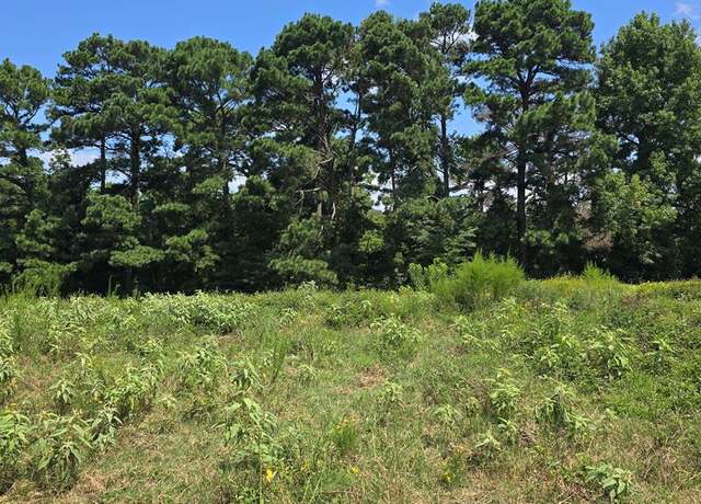 Property at Lot 8 Cr 3203, Mt Enterprise, TX 75681