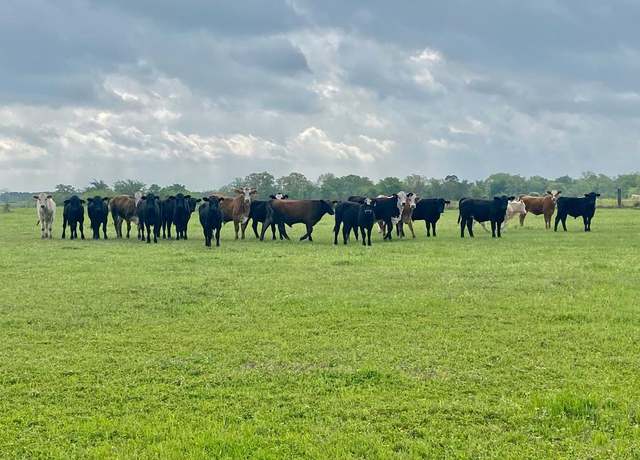 Property at TBD Cr 3095, Crockett, TX 75835