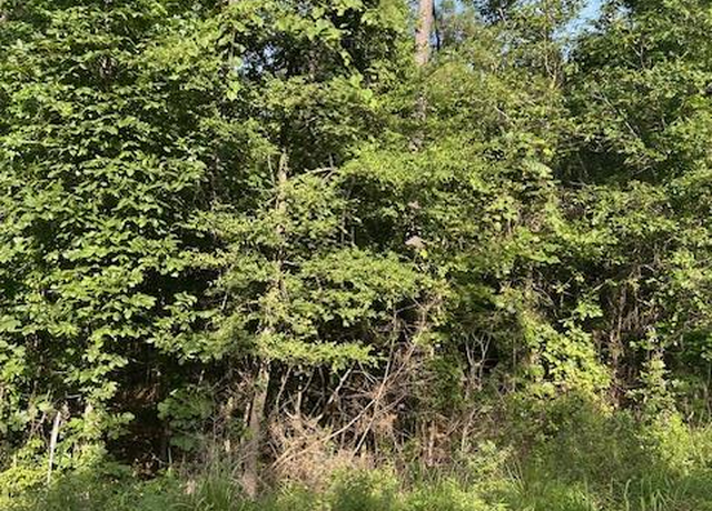 Property at TBD Cr 1060, Center, TX 75935