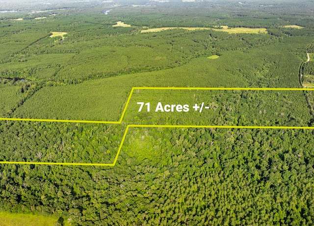 Property at 71ac+/- Cr 23a, Lufkin, TX 75904