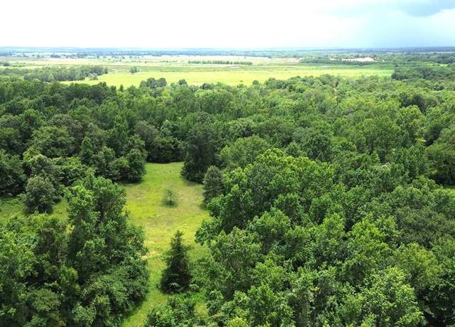 Property at Tract 1 Cr 2065, Crockett, TX 75835