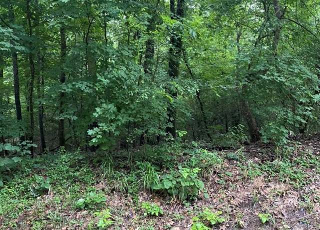 Property at TBA Cr 2650/ 2711, Shelbyville, TX 75973