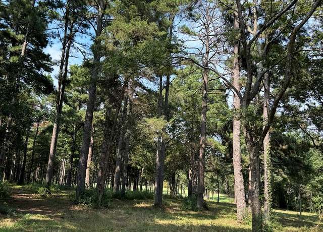 Property at 14539 Hwy 59 (tract A), Nacogdoches, TX 75965