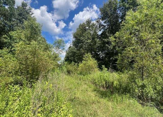 Property at TBD Spring Creek Dr, Nacogdoches, TX 75965
