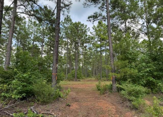 Property at 3245 Cr 1095, Center, TX 75935
