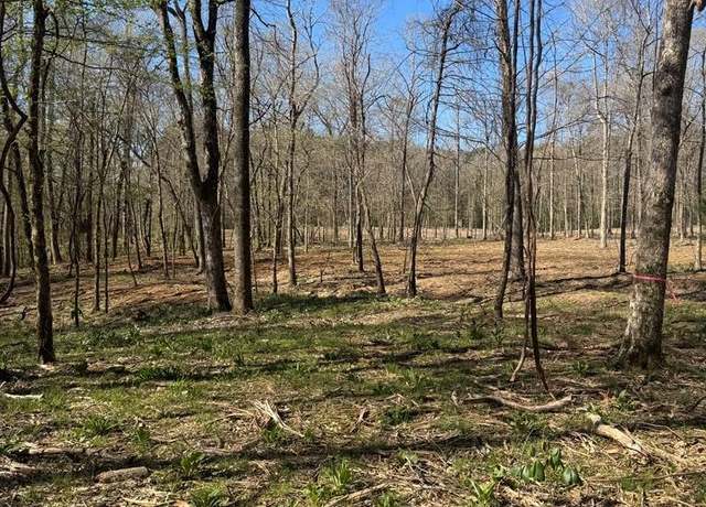 Property at TBD CR 425 (browns Ferry Rd), Melrose, TX 75961