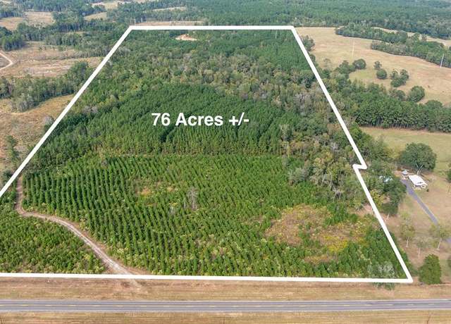 Property at 76.68 ac FM 343, Nacogdoches, TX 75964