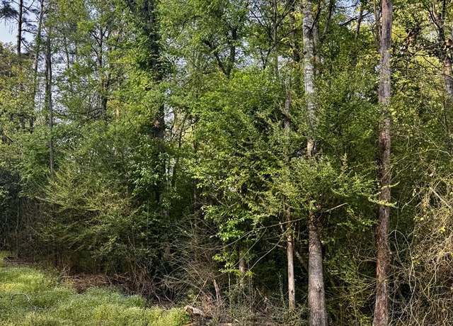 Property at CR 3143 County Road 3143, Center, TX 75935