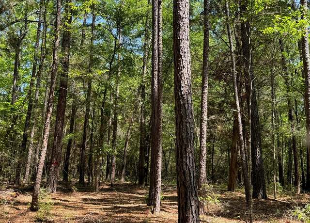 Property at TBD Cr 4720, Kennard, TX 75847