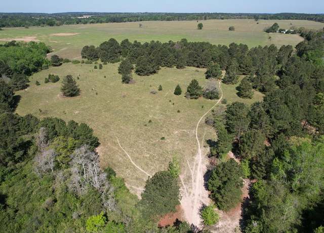 Property at 2954 Cr 2170, Grapeland, TX 75844
