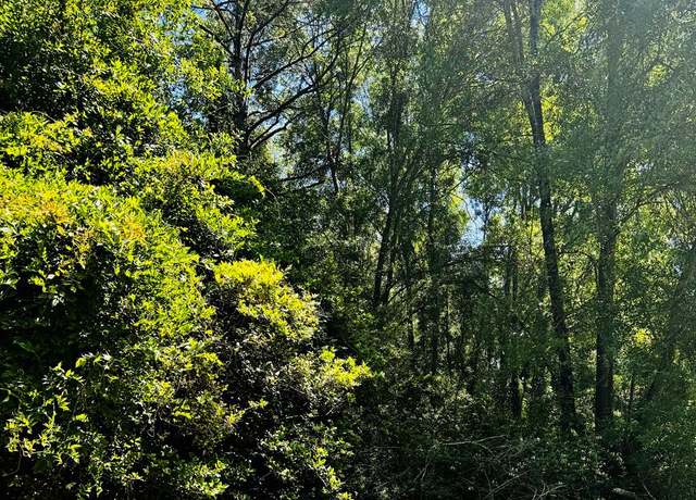 Property at TBD Cougar Dr, Buna, TX 77612