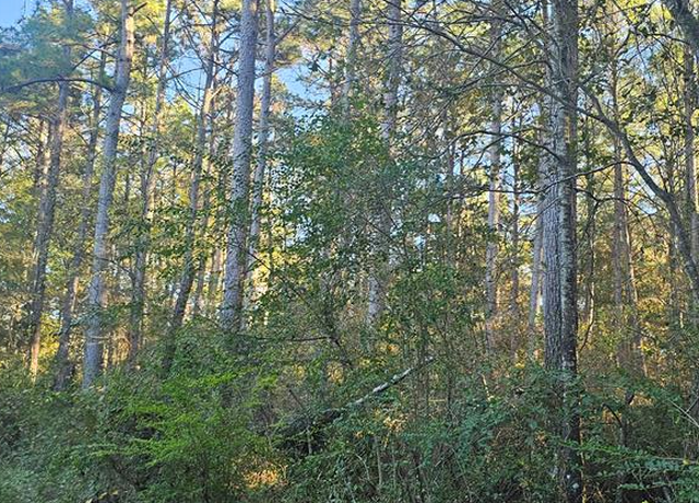 Property at 4500 BLK Fm 225 N, Douglass, TX 75943